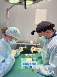 відгуки про Док Ток фото