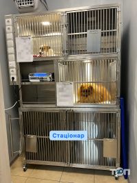 Док Ток, ветеринарна клініка - фото 10