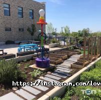 Кафе, бари Любовь-Морковь фото