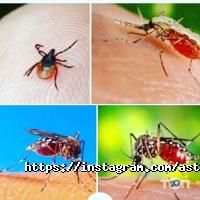 отзывы о Астана Дезинфекция фото