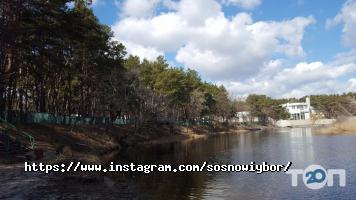 Сосновий Бір Дніпро фото