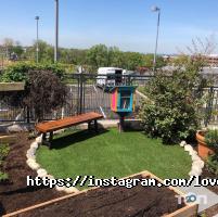 Любовь-Морковь відгуки фото