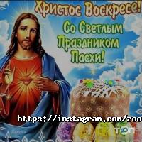 Зоомагазины и услуги для животных Zooroom фото