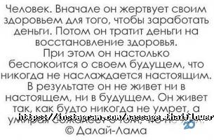 Квітка Таїланду Київ фото