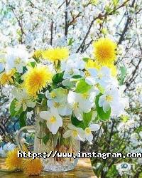 Чисте Перо відгуки фото