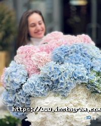 Ufl Одеса фото