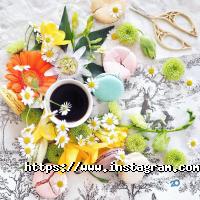 Сем Дніпро фото