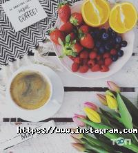 відгуки про Алоє Плюс фото