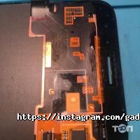 Гаджетус відгуки фото