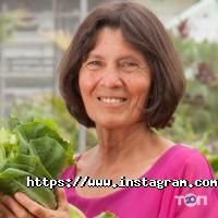 Сік паростків пшениці Київ фото