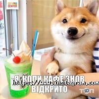 CityCenter відгуки фото