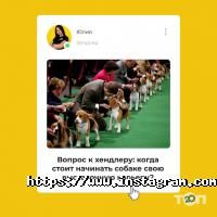 Зграя, навчально-дресирувальний кінологічний клуб фото