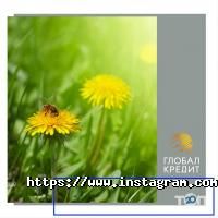 відгуки про Глобал кредит фото