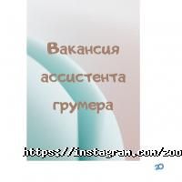 Дама з собачкою відгуки фото