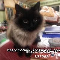 Ковчег Одеса фото