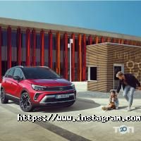 Автосервіси, СТО Vipos фото