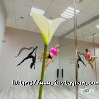 Orange Dance Studio відгуки фото
