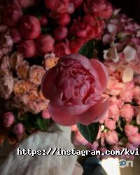 відгуки про Квітер фото