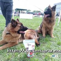 Zoobonus відгуки фото