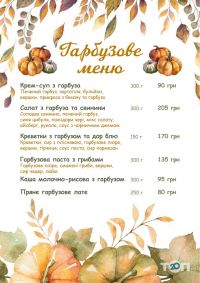 Рудий кіт Хмельницький відгуки фото
