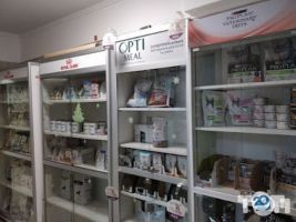 Amigo Одеса фото