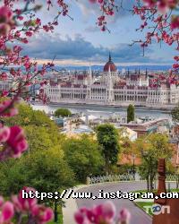 Infobus, продаж квитків онлайн фото