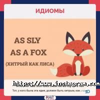 Next Level отзывы фото