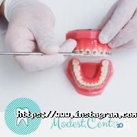 відгуки про Modest фото