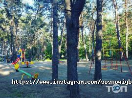 Сосновый Бор Днепр фото