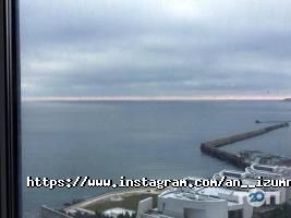 Агентства нерухомості Смарагд фото