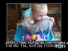 Розумка Полтава фото