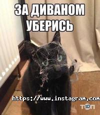 відгуки про Розумка фото