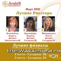 Нотаріуси Avalon фото