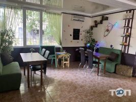 Дві чашки Кривий Ріг фото