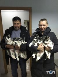 Поливет отзывы фото