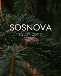 SOSNOVA relax zone, будиночки для вашого відпочинку фото