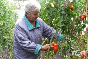 відгуки про Фруктовий рай фото