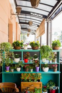 Репортеръ отзывы фото