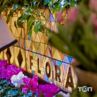 Пікнік Чернівці фото