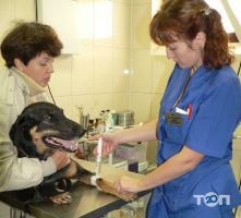 Ветеринарные клиники Ветеринарна допомога фото