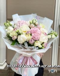 Floristella Одеса фото