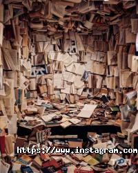 Курси, тренінги Luka фото