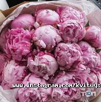 Магазин квітів на Горської Львів фото