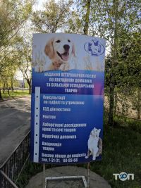 Ветеринарна клініка на Покровській Полтава фото