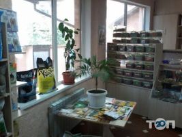 Гарфілд, зоомагазин фото