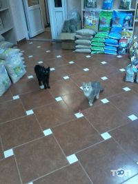 Зоомагазини і послуги для тварин Гарфілд фото