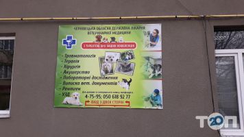 Ветеринарные клиники Городская государственная больница ветеринарной медицины фото
