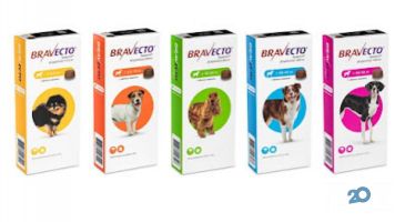 Зоомагазин 101Далматин на Салтівці/Інтернет магазин, зоомагазин фото