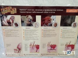 Городское управление ветеринарной медицины Полтава фото