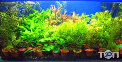 Зоомагазини і послуги для тварин Zoomar фото